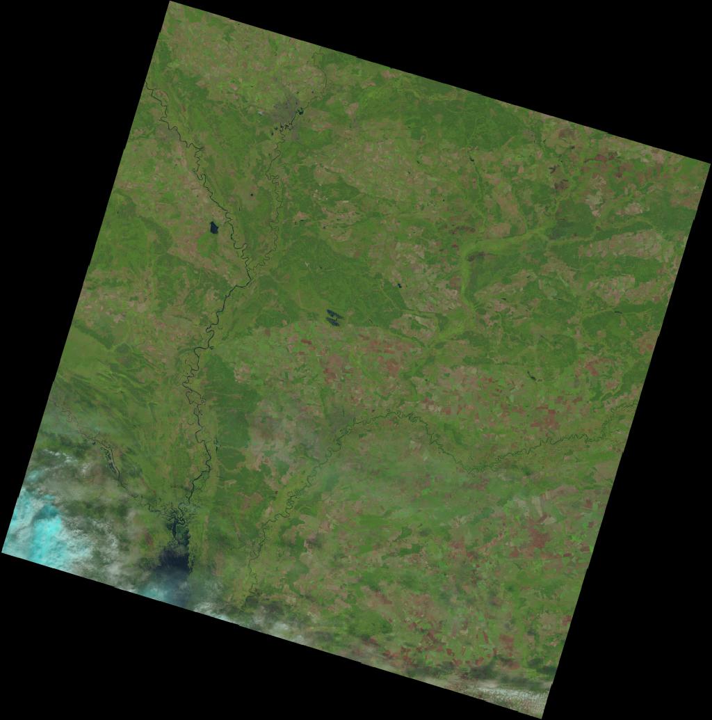 Landsat 8 satellite image of the Chernobyl Exclusion Zone, 5 September 2024 — thirty-eight years after the reactor explosion. The Red Forest west of Reactor 4 has regrown; the exclusion zone has become a state biosphere reserve.