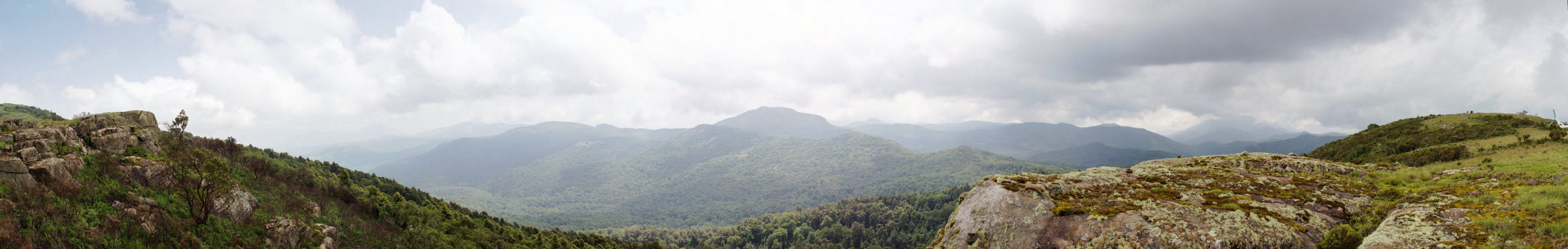A panoramic photograph from the top of Mount Kinyeti — South Sudan's highest peak at 3,187 m — looking out across the cloud-forested slopes of the Imatong Mountains where the Imatong Balsam is endemic.